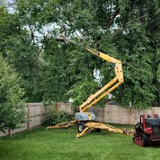  Normandy, MO Tree Services Pros